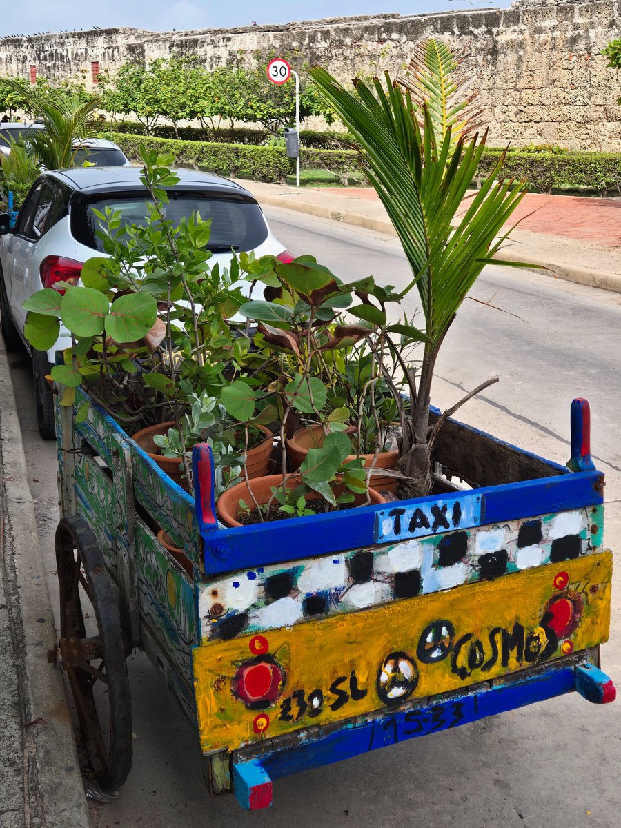 Multitasking in Cartagena…