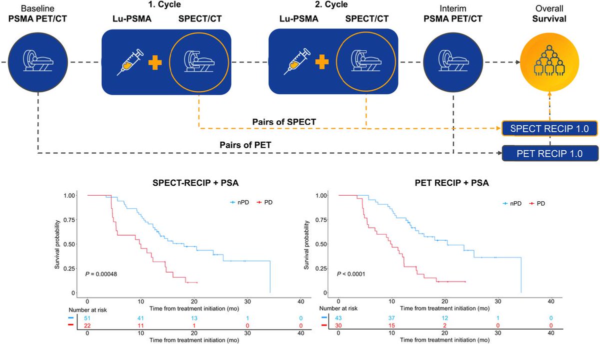 JNM (@journalofnucmed) on Twitter photo Evidence-based clinical protocols to monitor efficacy of ¹⁷⁷Lu-PSMA #RPTherapy in metastatic castration-resistant #ProstateCancer using real-world data. ow.ly/7K8n50VKMaB
#NuclearMedicine <a href="/DrAGafita/">Andrei Gafita</a> <a href="/liljasolnes/">liljasol</a> <a href="/UnterrainerLena/">LenaUnterrainer</a> <a href="/MUnterrainerMD/">Marcus Unterrainer</a> Evidence-based clinical protocols to monitor efficacy of ¹⁷⁷Lu-PSMA #RPTherapy in metastatic castration-resistant #ProstateCancer using real-world data. ow.ly/7K8n50VKMaB
#NuclearMedicine <a href="/DrAGafita/">Andrei Gafita</a> <a href="/liljasolnes/">liljasol</a> <a href="/UnterrainerLena/">LenaUnterrainer</a> <a href="/MUnterrainerMD/">Marcus Unterrainer</a>