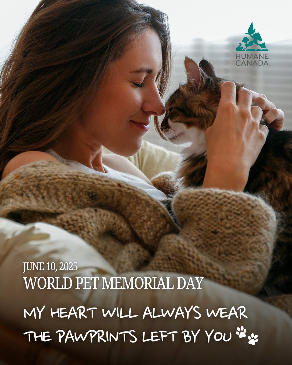 Today is World Pet Memorial Day — a time to honour the love and pawprints left by our departed fur babies. 🌈🐾

Make a gift today in their memory to help animals in need: humanecanada.akaraisin.com/ui/makeagift/d… ❤️