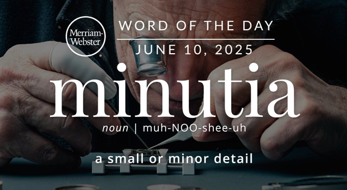 Merriam-Webster Word of the Day June 10, 2025 'cataract' minutia noun | muh-NOO-shee-uh "a small or minor detail" Background Image: a person working on a watch