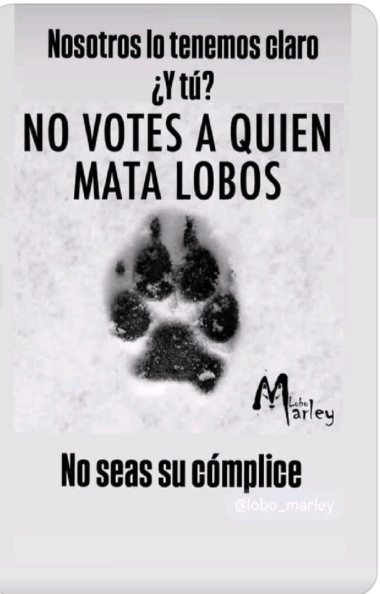 DOMINGUEZLM's tweet image. 