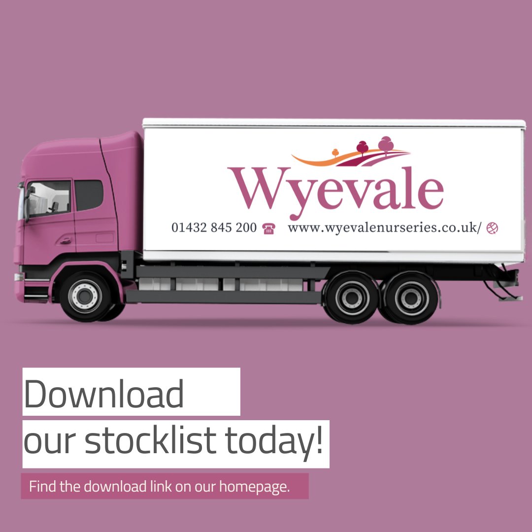 Wyevale Nurseries (@wyevalenurs) on Twitter photo Need some plants this week? Our latest stocklist is available to download on our website homepage. Please visit our page for availability and call 01432 845200 or email enquiries@wyevale-nurseries.co.ukfor further details. wyevalenurseries.co.uk Need some plants this week? Our latest stocklist is available to download on our website homepage. Please visit our page for availability and call 01432 845200 or email enquiries@wyevale-nurseries.co.ukfor further details. wyevalenurseries.co.uk