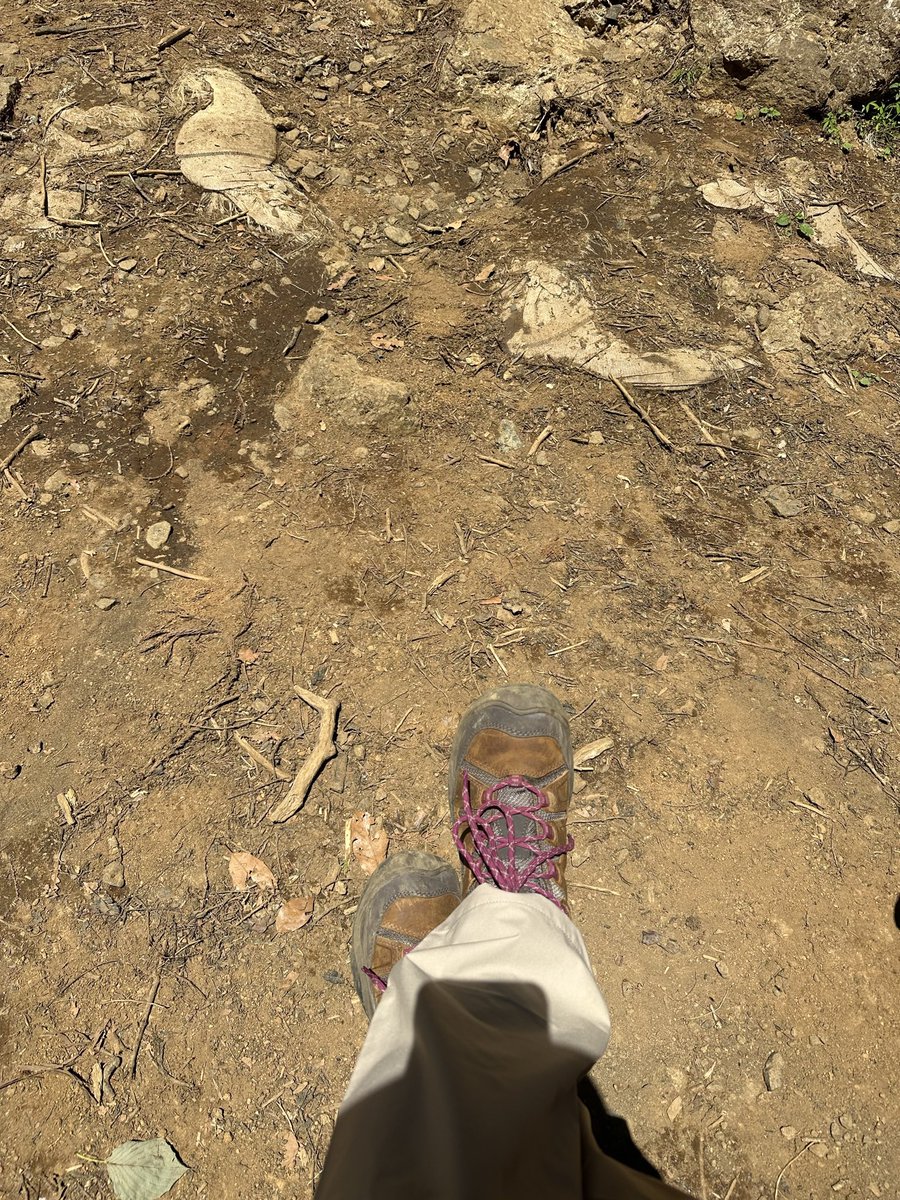 【お知らせ】📢

レギュラー番組のお知らせです！

TCN『山歩き、街歩き、森歩き、
三田りょうのラララ♪で行こう！』

3代目の山ガールリポーター🏔️として
出演させていただくことになりました！

多摩ケーブルネットワークエリアの皆様
よろしくお願いします

#多摩ケーブルネットワーク