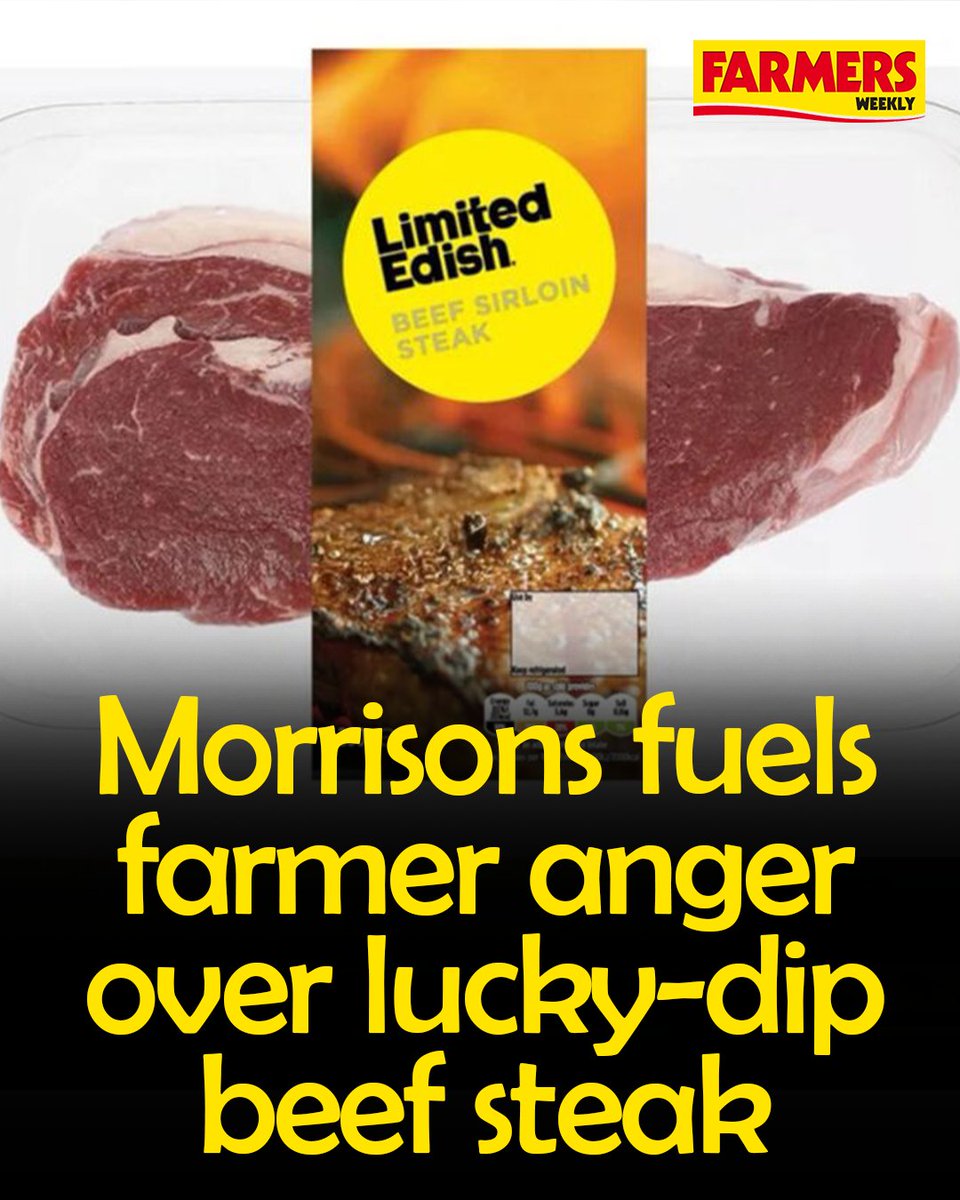 Farmers Weekly (@farmersweekly) on Twitter photo 🗣️ <a href="/timfarron/">Tim Farron</a>: "This is appalling from Morrisons. They seek kudos for their UK sourcing but then sneakily do this, undermining British farmers and undermining their own integrity and brand."
READ MORE: ow.ly/a7aV50W6V8U 🗣️ <a href="/timfarron/">Tim Farron</a>: "This is appalling from Morrisons. They seek kudos for their UK sourcing but then sneakily do this, undermining British farmers and undermining their own integrity and brand."
READ MORE: ow.ly/a7aV50W6V8U