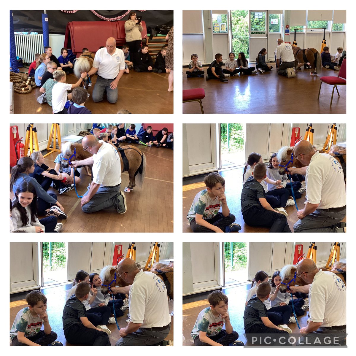 The beginning of our wonderful health week; fruit tasting, smoothie making, multi-sports, football and pony therapy 🍌🍊⚽️🎾🐴 <a href="/ms_strachanloga/">Mrs Mackinnon</a> <a href="/Logans_Primary/">Logans PS and NC</a>
