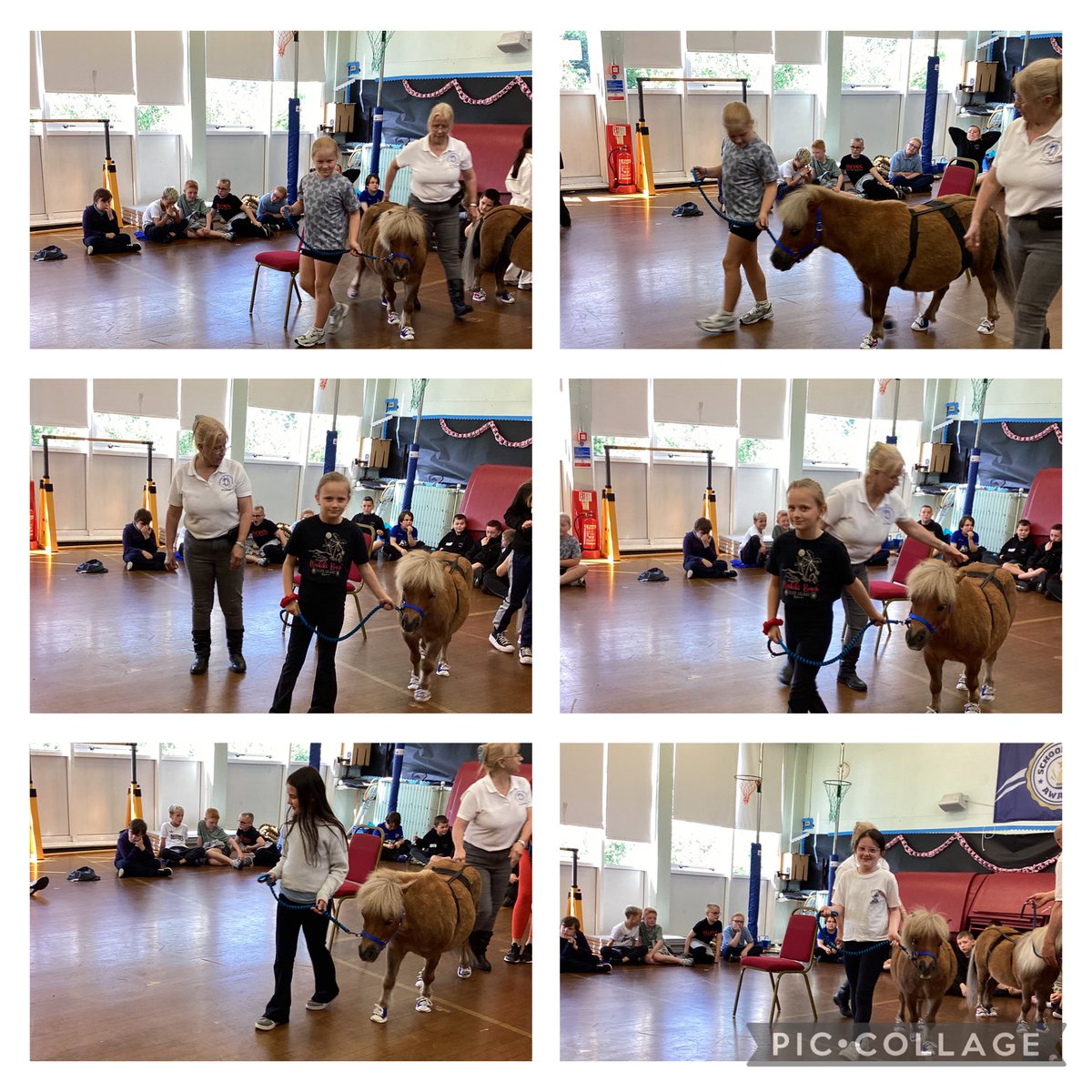 Miss Russell & P3/4 tweet media