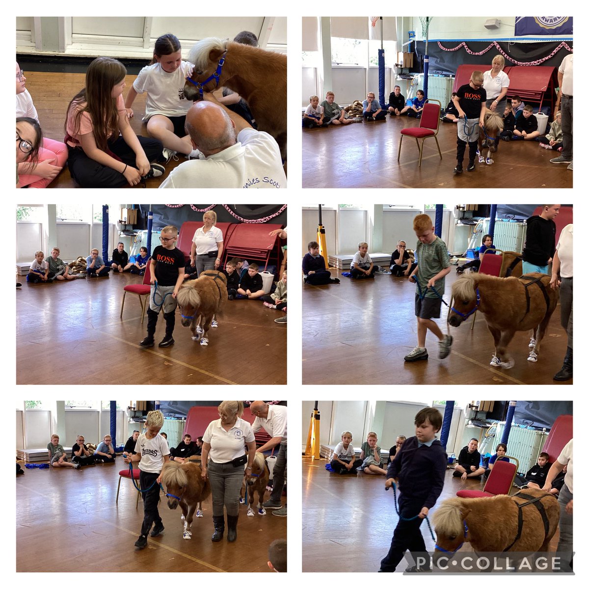 Miss Russell & P3/4 tweet media