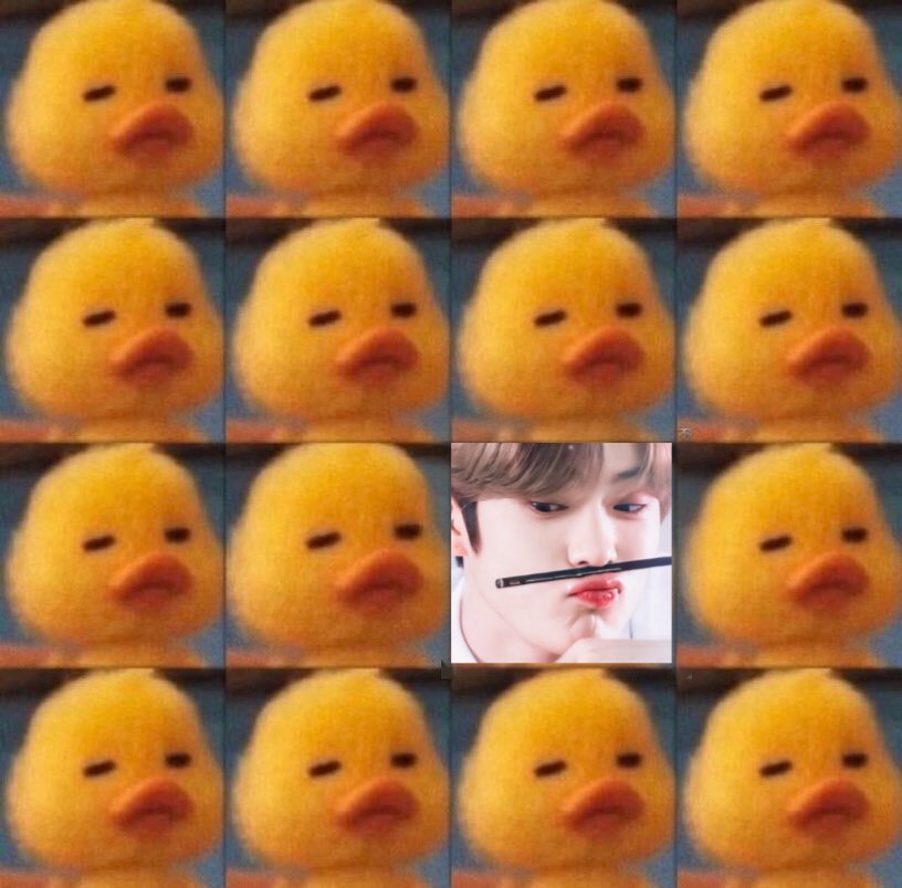 ` prince jae ☁️ tweet media