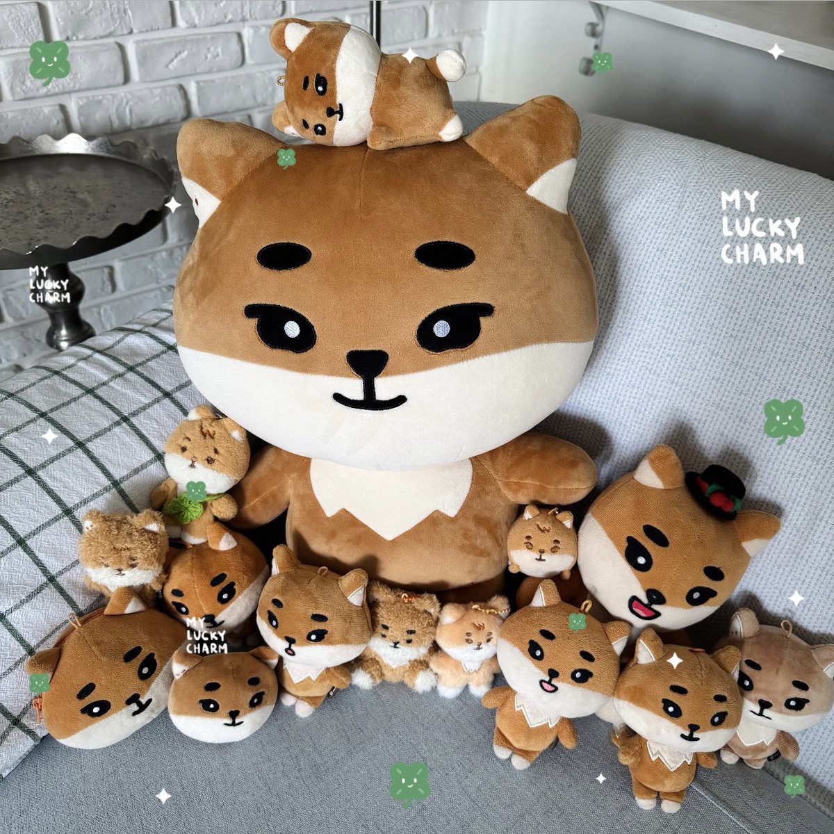 dear_bassist's tweet photo. ke family😼🍀🧡 https://t.co/uNxLhmfI3e