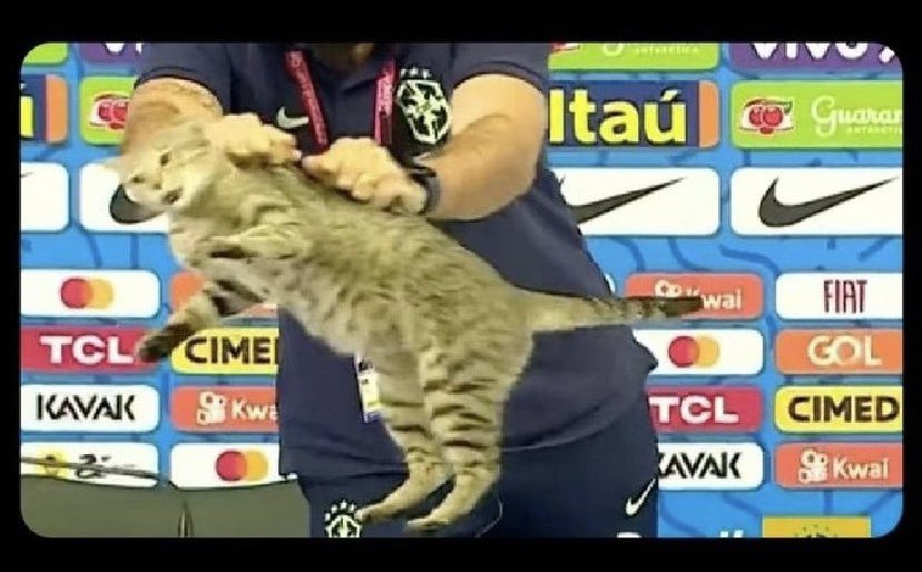 Mbaracajá ejapó la nde trabajo