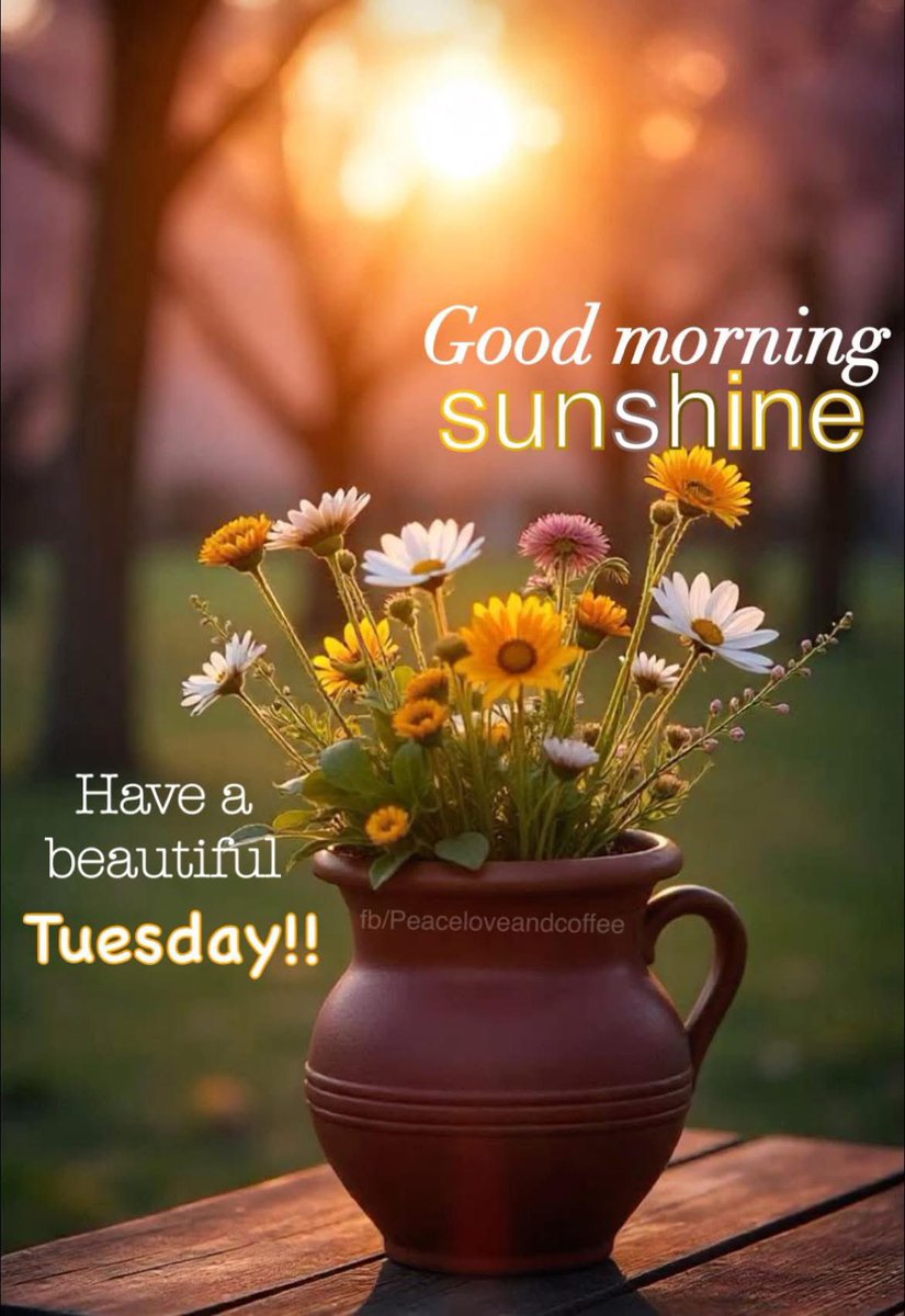 No sunshine in the Philadelphia area 🌞🌞🌞Wishing everyone a great day