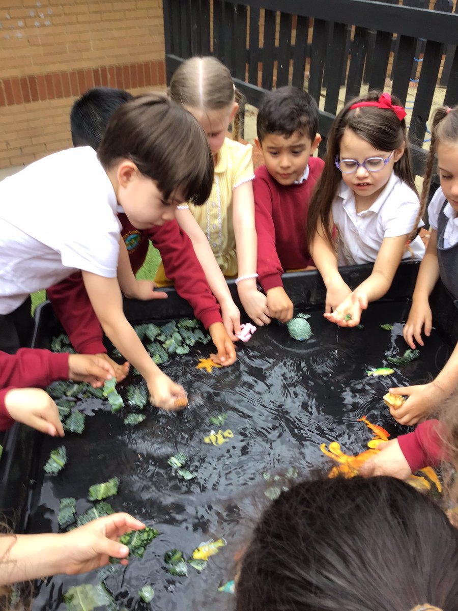 This afternoon in Year1@JeffersClass we went to the seaside. We explored the different areas and touched the different objects. #WeLoveSouthCamberley