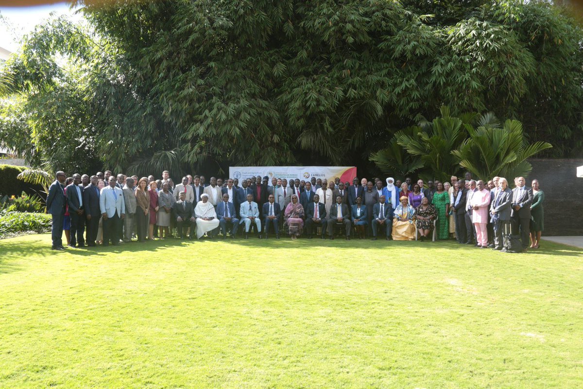 <a href="/fourpaws/">Peanut</a> is proud to be part of the FAO and AU-IBAR Regional Forum on the International Year of Camelids and Sustainable Livestock Transformation #YearofCamelids #IYC2024