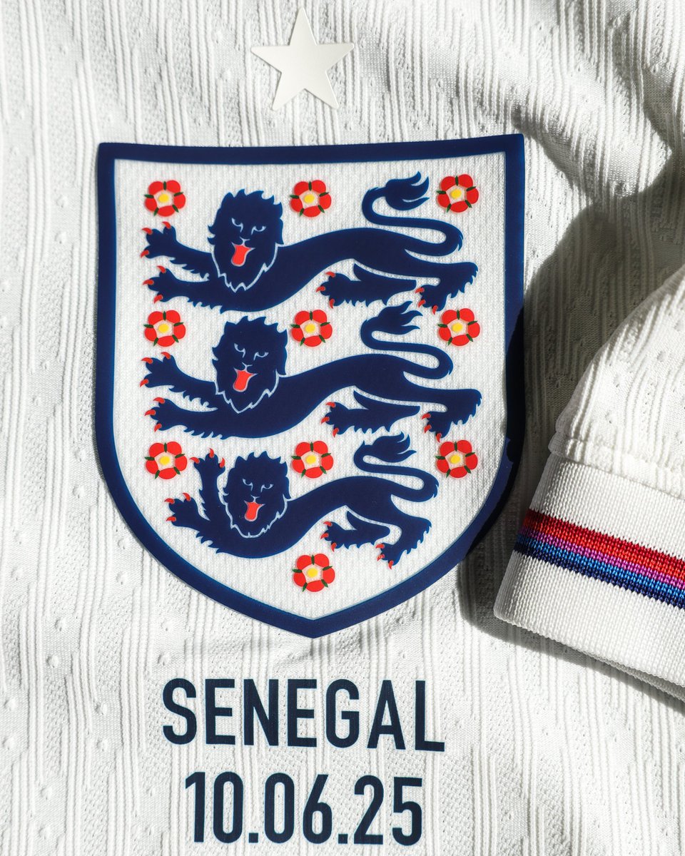 🦁🦁🦁