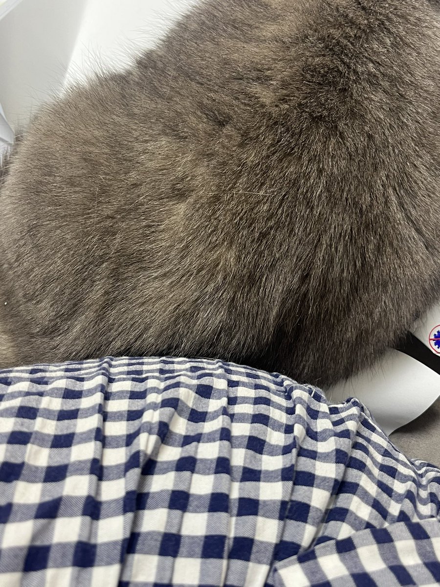 모리가 궁디 붙이고 앉아조서 행복하군