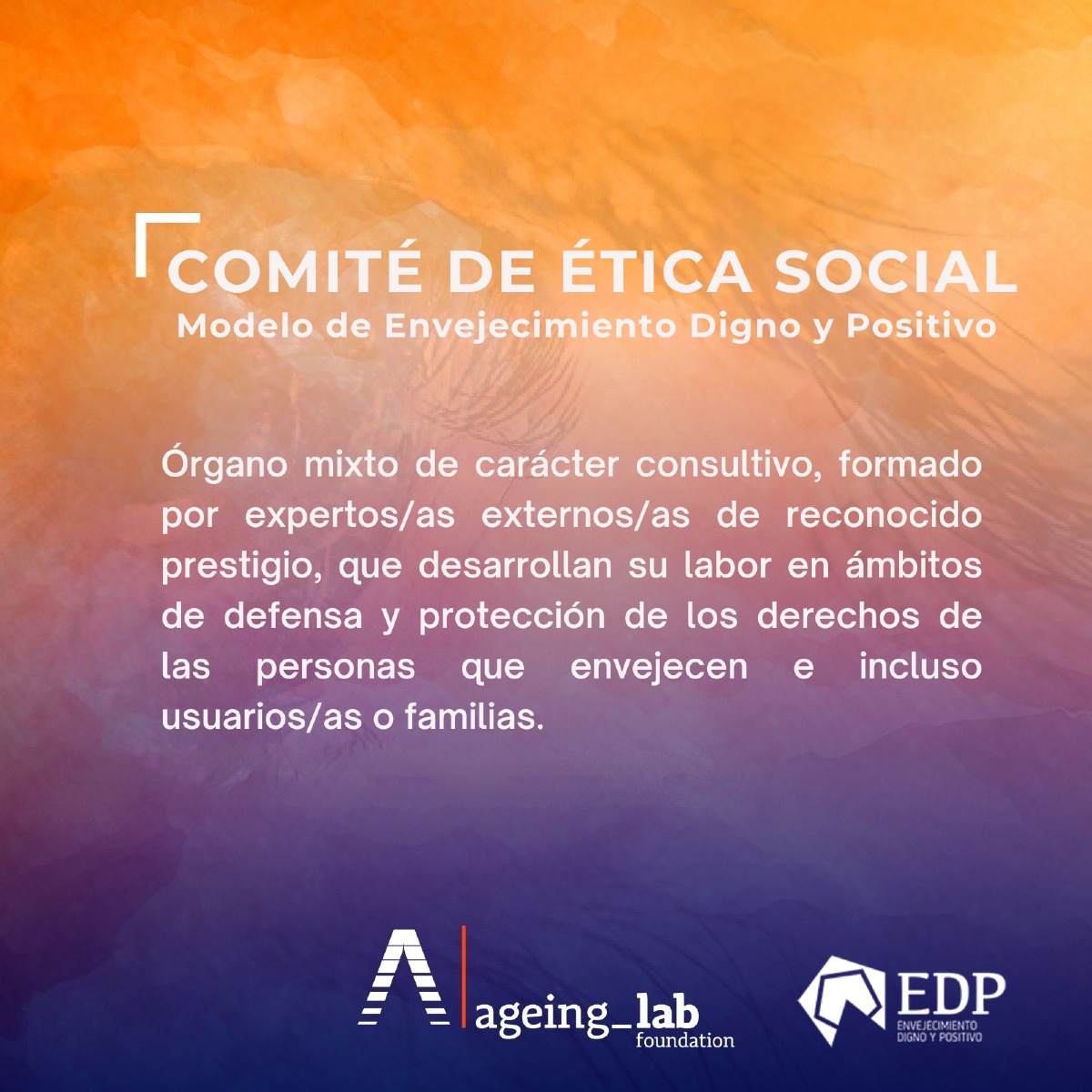 👨🏻‍🦳👩🏼‍🦳🔎​El Comité de Ética Social es un órgano dentro de la organización #AgeingLab, que se dedica a la #InnovaciónSocial en el ámbito del envejecimiento para su mejora.

#EnvejecimientoDignoYPositivo #EDP #Investigación