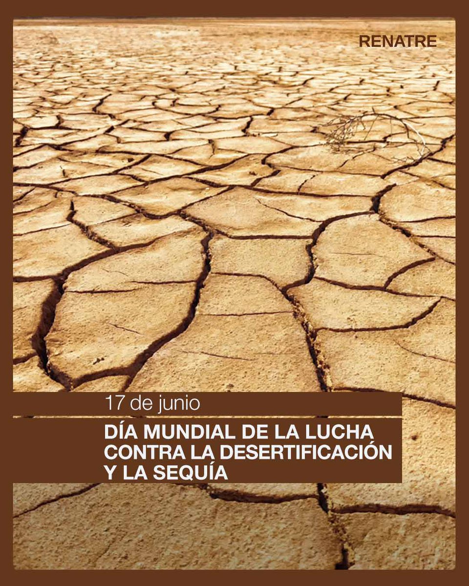 Establecido por la #ONU en 1995, este día nos invita a reflexionar y actuar frente a dos de los desafíos ambientales más urgentes: la degradación de los suelos y la escasez hídrica. La desertificación y la sequía amenazan la seguridad alimentaria. #LuchaContraLaDesertificación