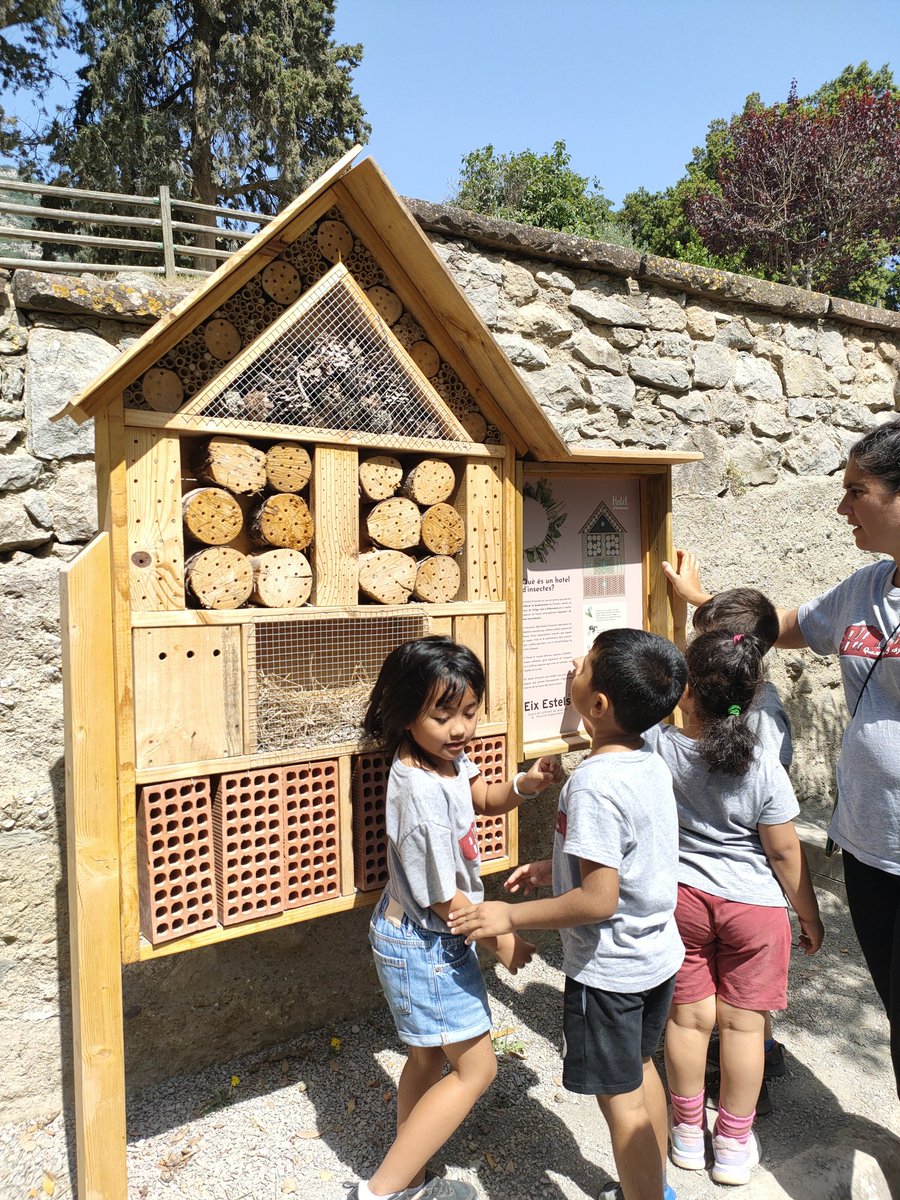 I4 i I5 gaudint de les colònies, coneixent els voltants de Mas Banyeres i preparats per l'activitat  de la tarda. #escolaoberta #escolacompetent #intensament