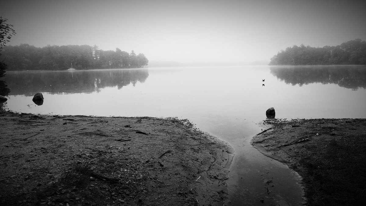 VisitingNewEngland - Eric's Stories of New England (@newenglandinfo) on Twitter photo A still and slightly foggy scene this morning at Willett Pond, Walpole, Mass.
#walpolema #MorningVibes <a href="/ShiriSpear/">Shiri Spear</a> <a href="/NWSBoston/">NWS Boston</a> A still and slightly foggy scene this morning at Willett Pond, Walpole, Mass.
#walpolema #MorningVibes <a href="/ShiriSpear/">Shiri Spear</a> <a href="/NWSBoston/">NWS Boston</a>