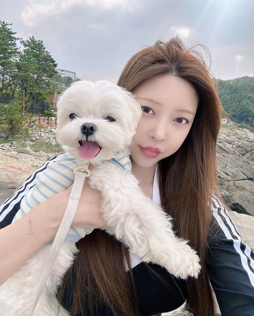 소미 (@qhtt8881) on Twitter photo 