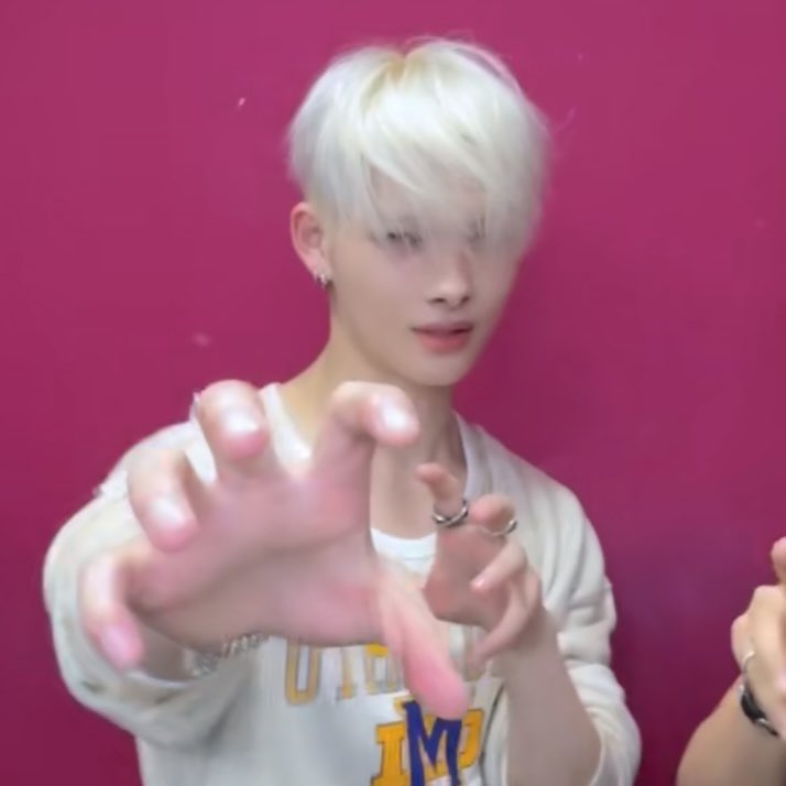 duck                    vs                           cat