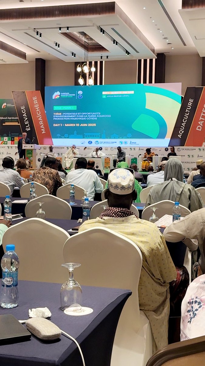 DAF_2025's tweet photo. En marge des panels, les échanges bat son plein au #ForumAgrobusiness

Experts internationaux, acteurs privés, représentants des ministères et producteurs partagent une ambition commune :

Structurer des filières, bâtir des partenariats, investir pour demain. https://t.co/x0LUeoLYkP