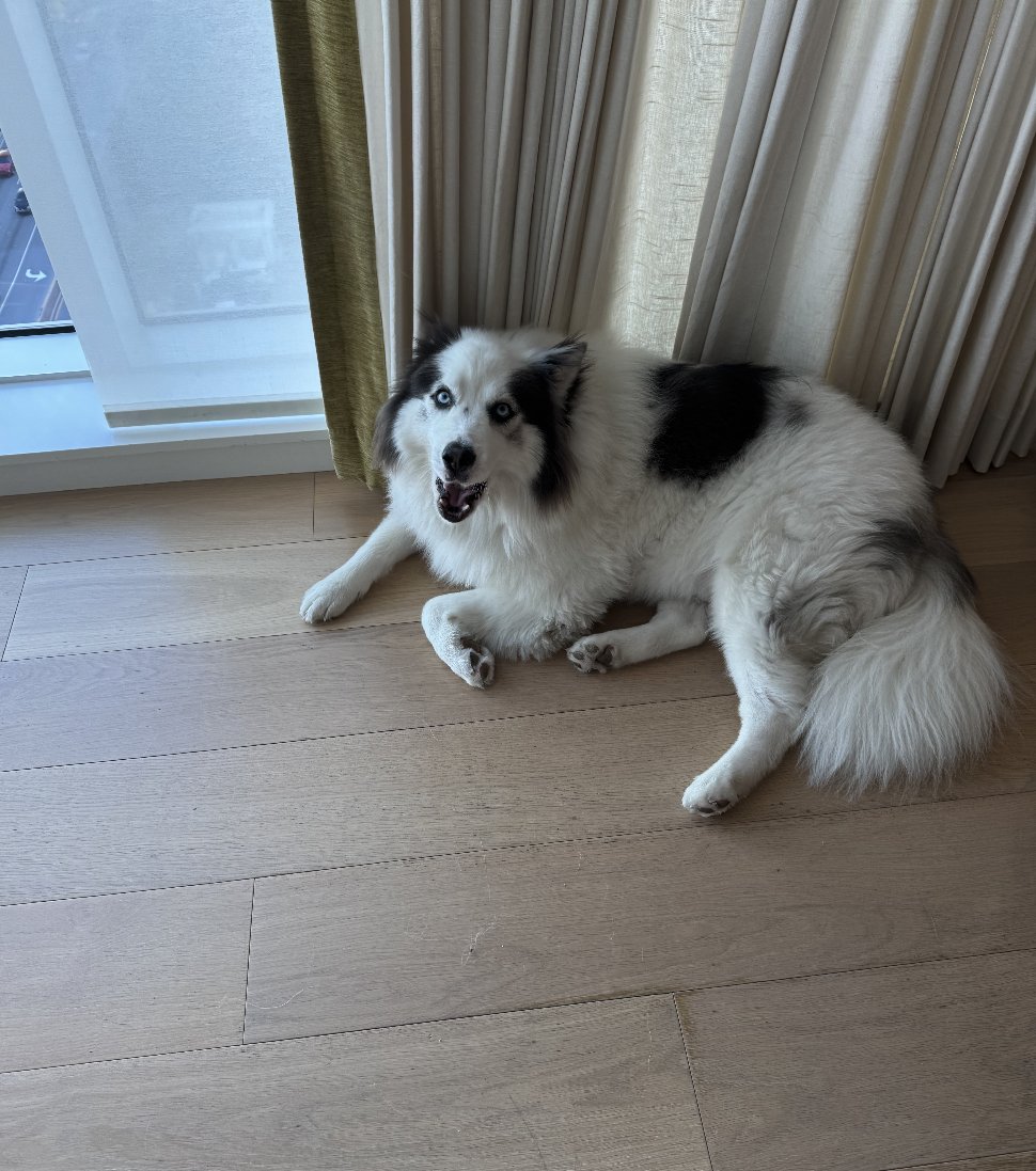 It's a fluffy morning. GM.