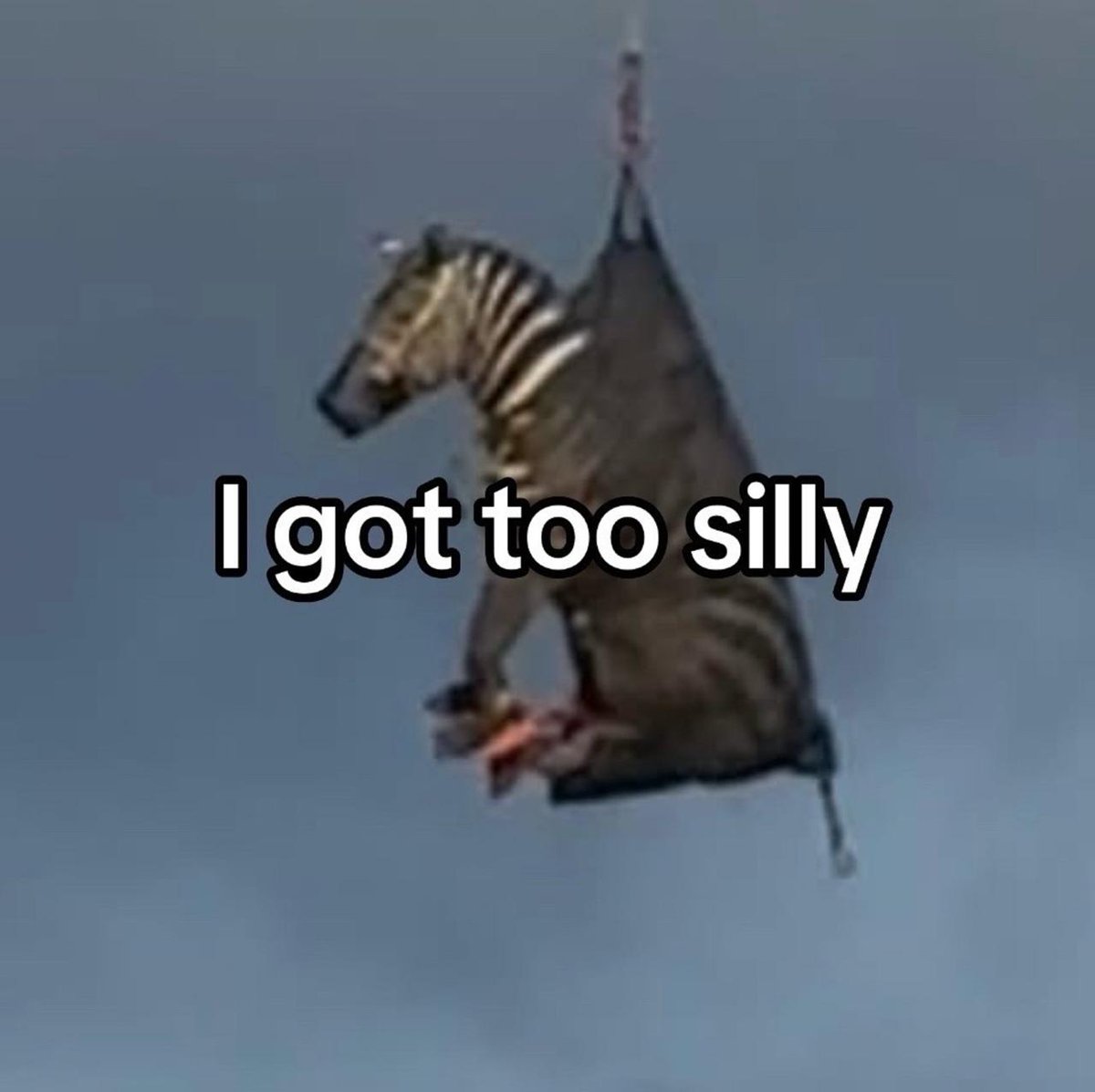 aceeeeaceaceace's tweet photo. #EdtheZebra https://t.co/xDlV5GWuEK