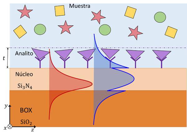 OTRI UMA (@otriuma) on Twitter photo La <a href="/InfoUMA/">Universidad de Málaga</a> ha patentado un biosensor fotónico integrado capaz de detectar mínimas concentraciones de biomarcadores. Esto permite diagnosticar enfermedades, en etapas tempranas con alta precisión y potencial, para revolucionar el diagnóstico biomédico. u.uma.es/gzb/ La <a href="/InfoUMA/">Universidad de Málaga</a> ha patentado un biosensor fotónico integrado capaz de detectar mínimas concentraciones de biomarcadores. Esto permite diagnosticar enfermedades, en etapas tempranas con alta precisión y potencial, para revolucionar el diagnóstico biomédico. u.uma.es/gzb/