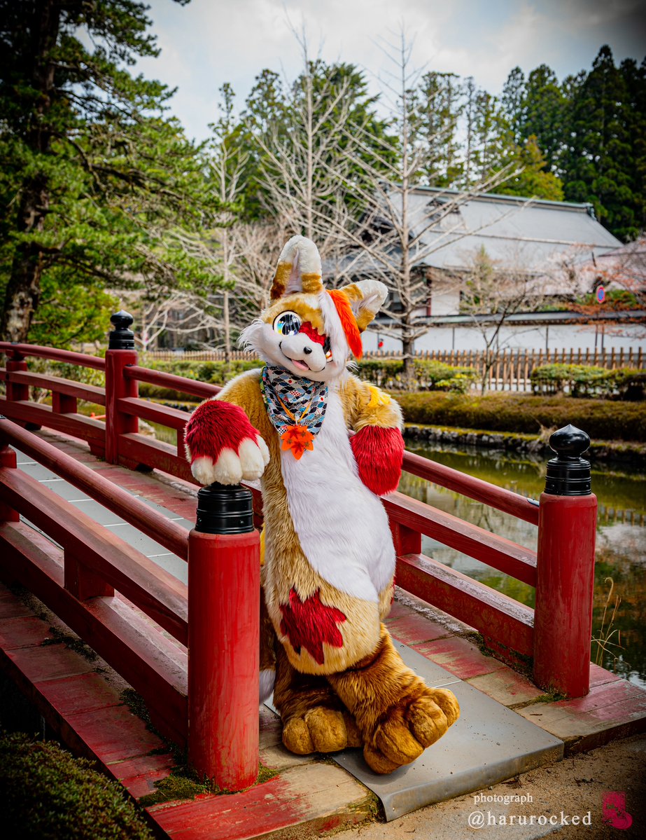 ちょっとそこのカフェで油揚げしにいかない？
#FursuitEverday