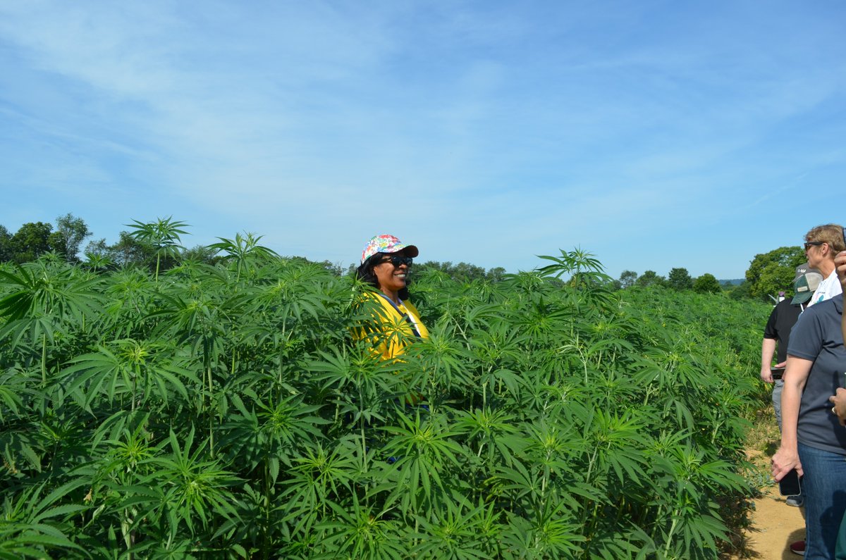 IR4_Project's tweet image. We&apos;re headed to the northeast for our annual specialty crop tour with partners from @EPA and @USDA. Last year&apos;s tour took us through fields of hemp, hops, brassicas and fruit trees. This year&apos;s tour will show us mushrooms, fruit, solar farming and more! #ir4project