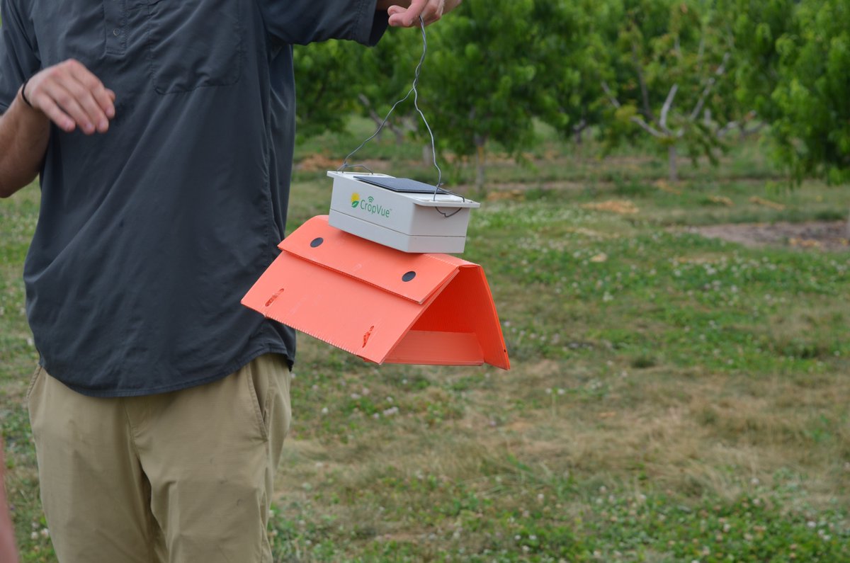 IR4_Project's tweet image. We&apos;re headed to the northeast for our annual specialty crop tour with partners from @EPA and @USDA. Last year&apos;s tour took us through fields of hemp, hops, brassicas and fruit trees. This year&apos;s tour will show us mushrooms, fruit, solar farming and more! #ir4project