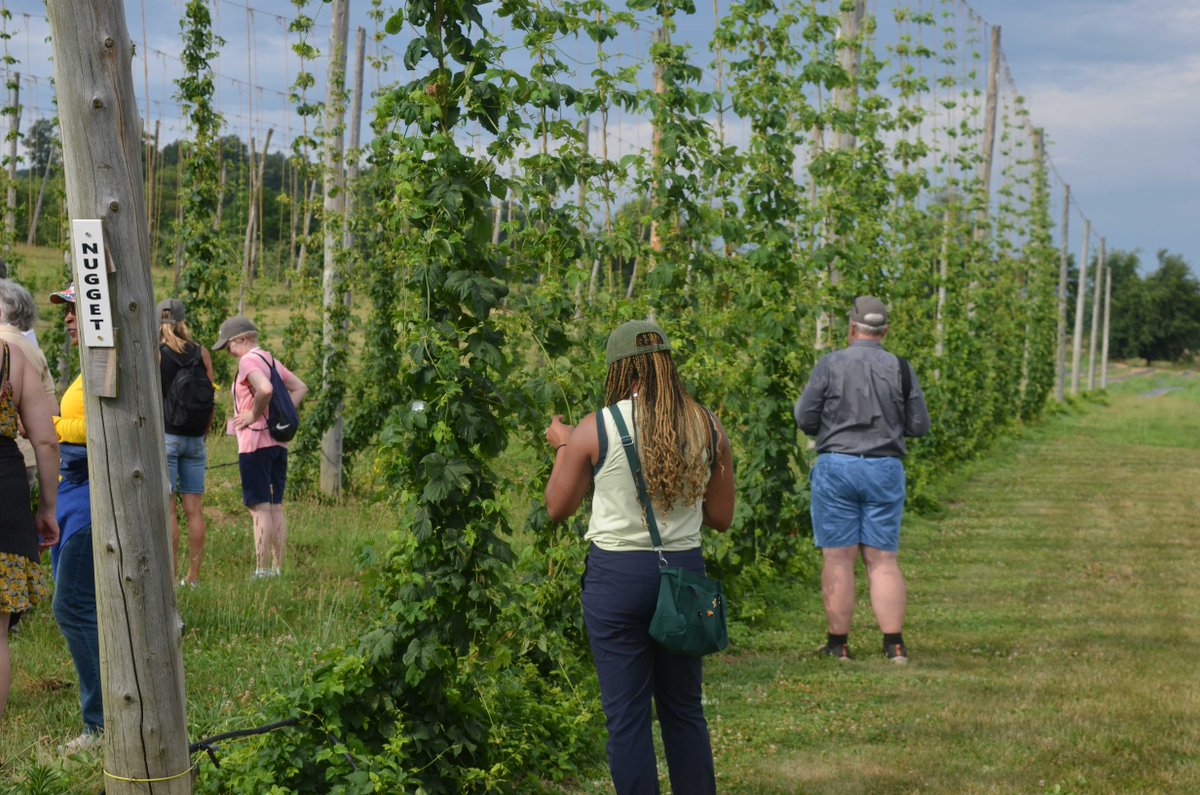 IR4_Project's tweet image. We&apos;re headed to the northeast for our annual specialty crop tour with partners from @EPA and @USDA. Last year&apos;s tour took us through fields of hemp, hops, brassicas and fruit trees. This year&apos;s tour will show us mushrooms, fruit, solar farming and more! #ir4project