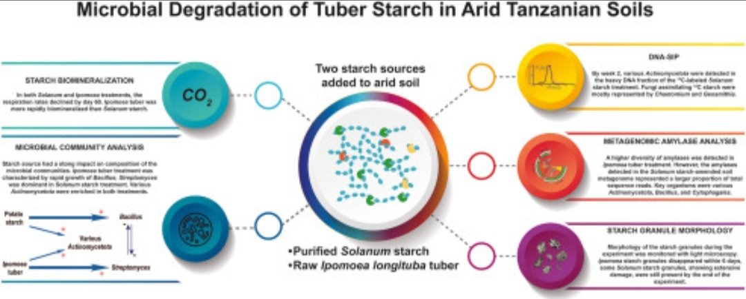 MaríaSoto tweet media