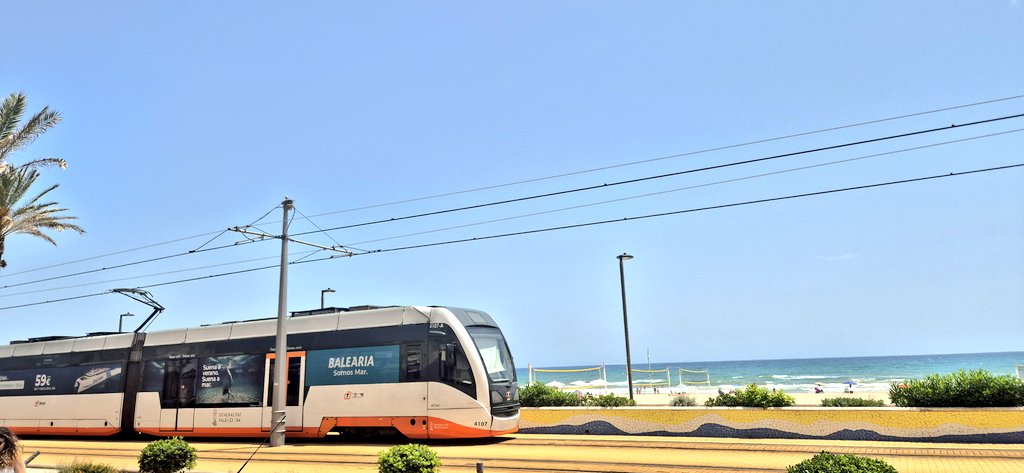 Ayer, Día de la Región de Murcia, se inauguró el tranvía de una sola vía de La Manga, que lleva hasta Cartagena, capital de su provincia. 

📷 Propia, 09-06-2025.
Playa Muchavista, Campello, Alicante.