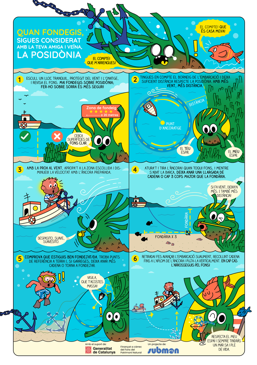 Aquest estiu, si navegues, recorda fondejar amb responsabilitat! 🌱🌊 La #Posidonia_oceanica és una planta marina clau per a la salut del Mediterrani, entre d’altres raons perquè:
✅ protegeix la costa de l’erosió;
✅ produeix oxigen i captura grans quantitats de CO₂...