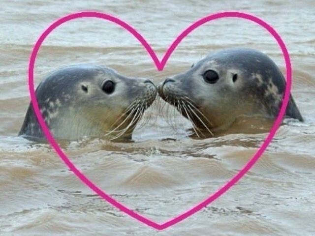 deItawarrior's tweet photo. #promotwt HAILOOO im bub/melly i like to play and draw..... i looove ut/dr, yakuza, splatoon, aitsf/ni, tmc, idv, nso and more :3> LETS BE FRIENDS https://t.co/nGgY24dmwD https://t.co/d0WBng6VV0