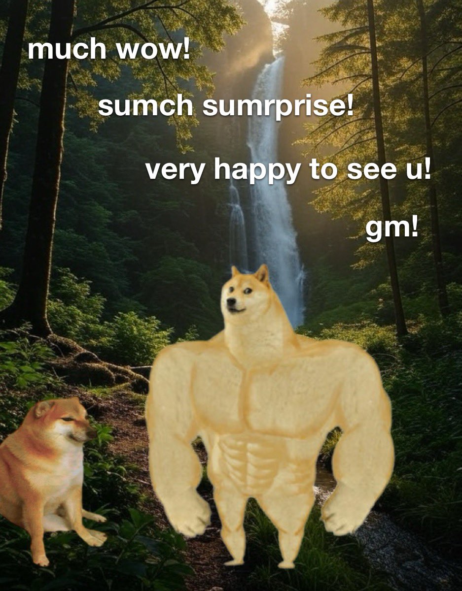 GM frens! ☕️
Have a Doge day 💛