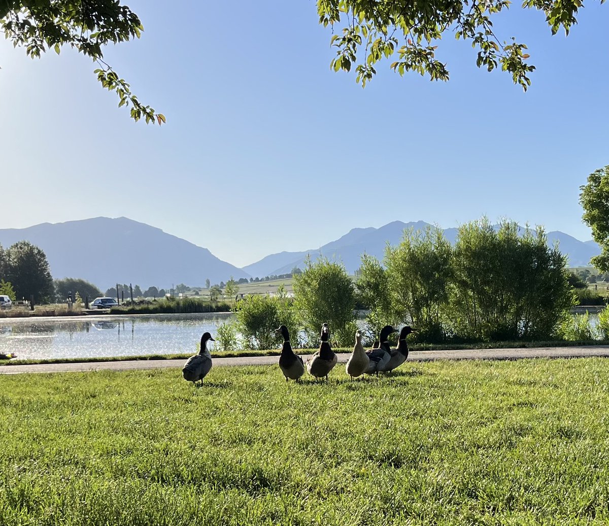 bchambers1's tweet image. A few spring photos from Cache Valley. #Utah #LifeElevated #CacheValley