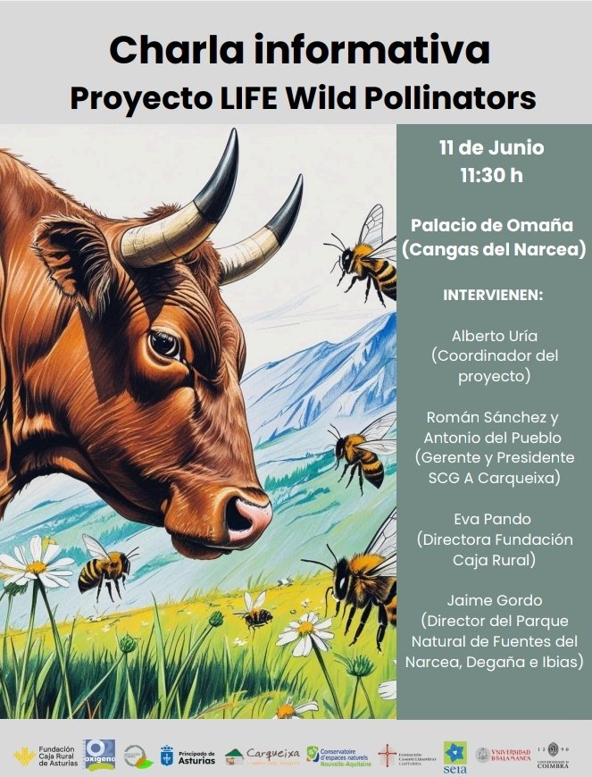 ¿Eres propietaria/o de terrenos o ganadera/o? ¿Te gustaría participar en un proyecto europeo para recuperar los prados de montaña y a los polinizadores silvestres? Te esperamos mañana a las 11:30 en Cangas del Narcea para contarte el proyecto que estamos preparando 😃