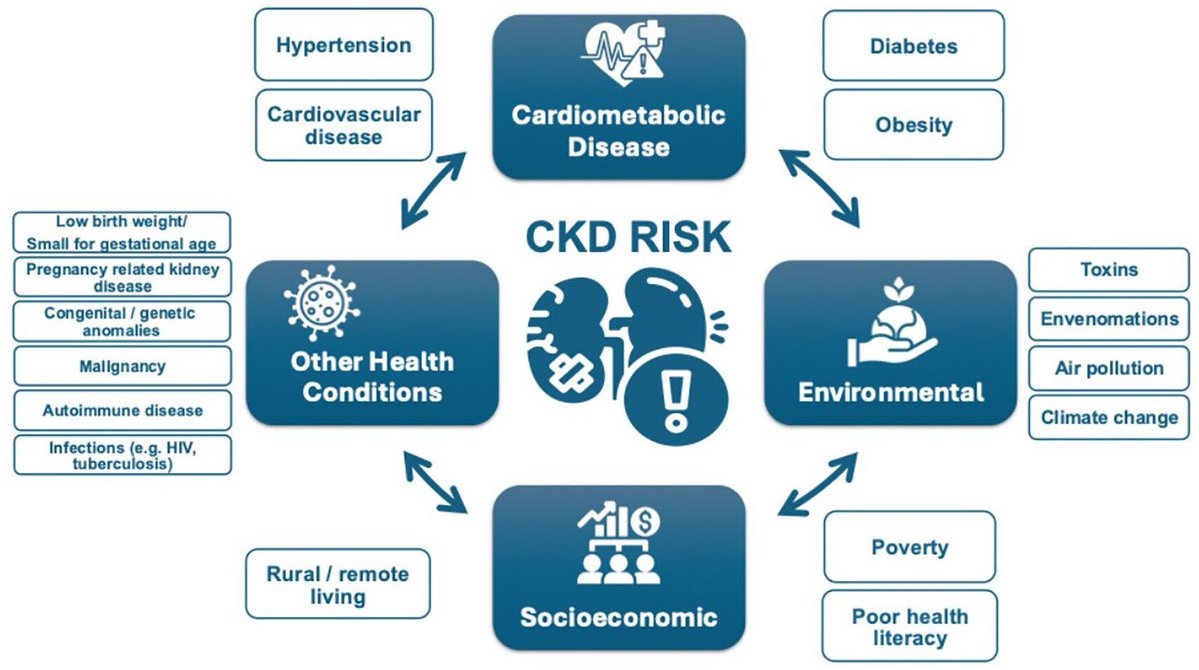 Early identification  of #KD can protect #kidney health. We  ask “Are your kidneys ok?” using serum creatinine   to estimate kidney function and urine albumin to assess for kidney and endothelial damage #AskRenal
<a href="/CSNSCN/">CSN</a> <a href="/CJKHD/">Carol Deely</a>

doi.org/10.1177/205435…