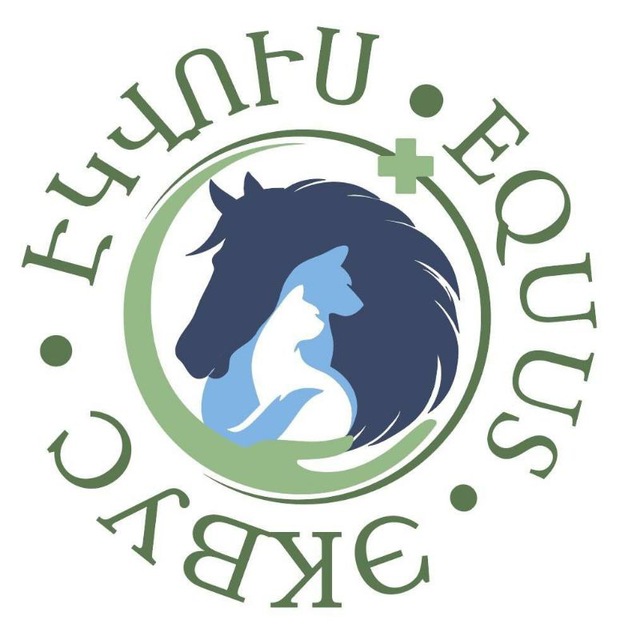 equus.am tweet media