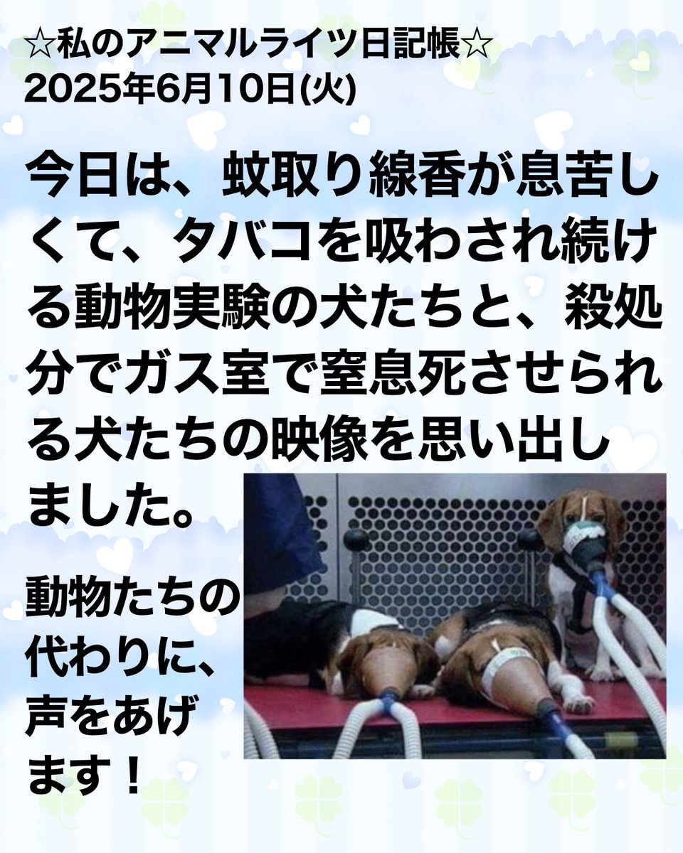 息ができないことは、すべての生き物にとって地獄です…！😭

#動物を助けたい