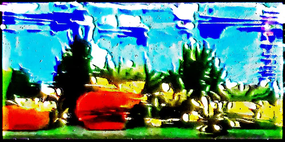 bagdelete's tweet photo. rare fish tanks https://t.co/YE7Dz397ze