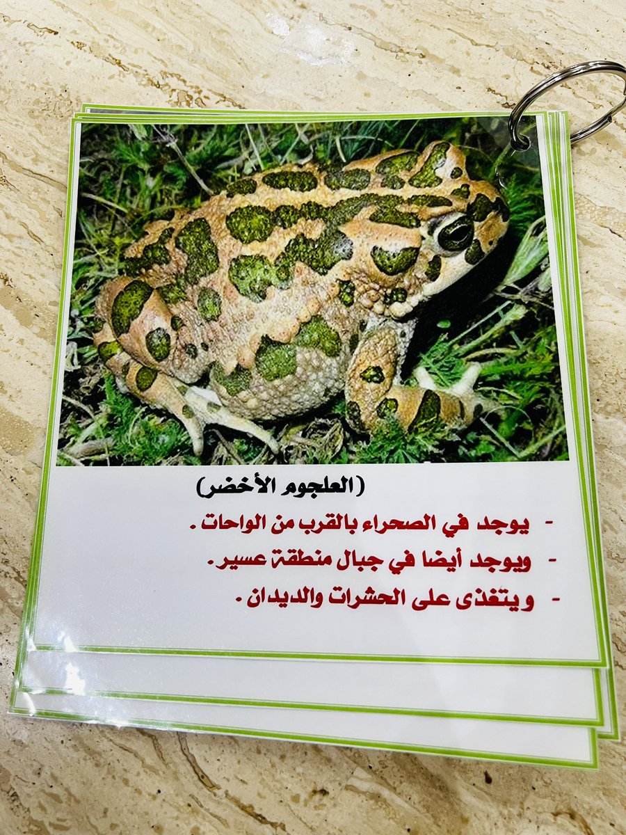 Amnah369's tweet photo. #مساء_الخير_والسعاده
#التعليم_المنزلي
🐸 https://t.co/gRzuEVex6y
