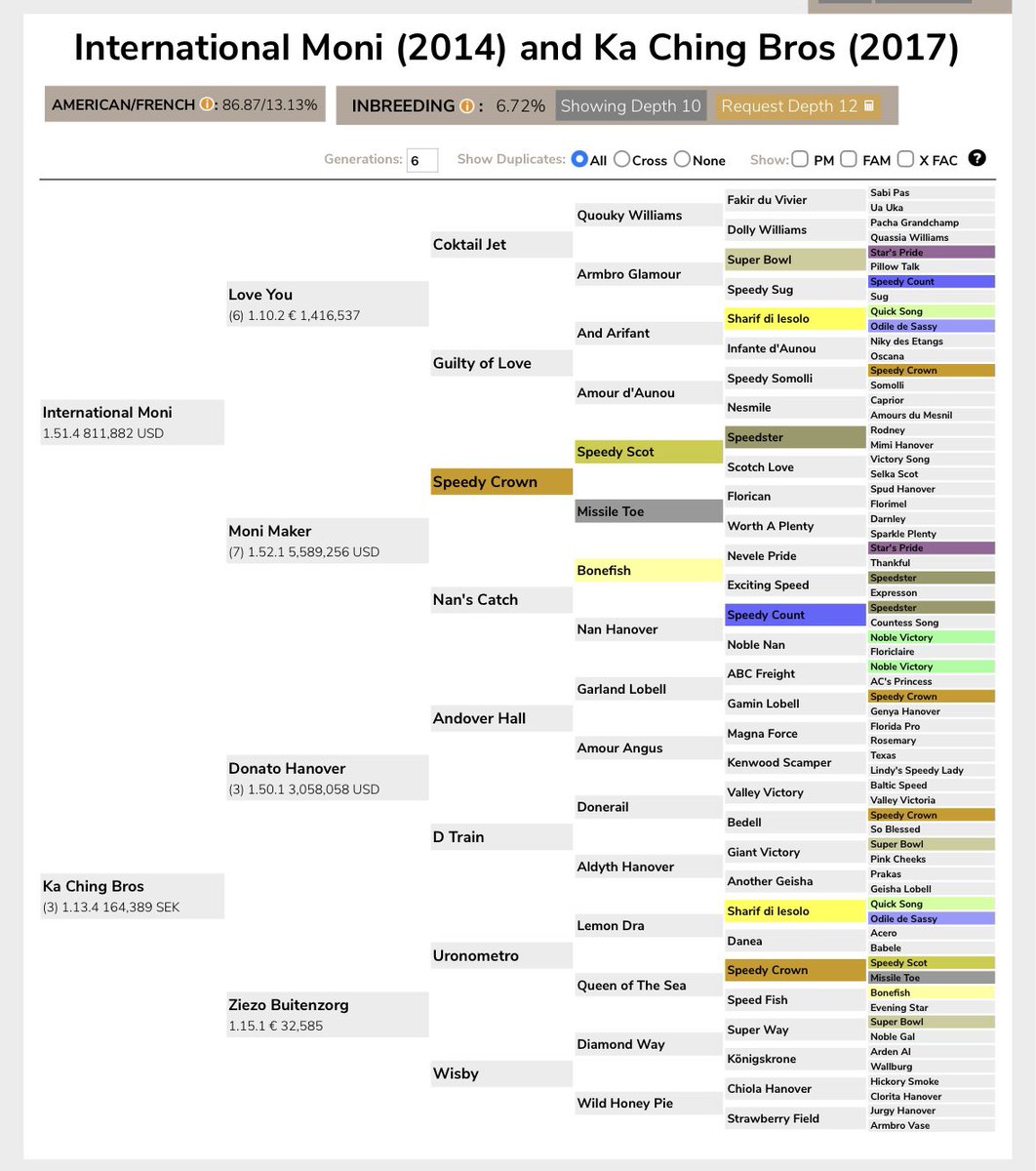 Holland’s Next Top Model 😍
True Love Bros 🇳🇱
Proud breeders 😊