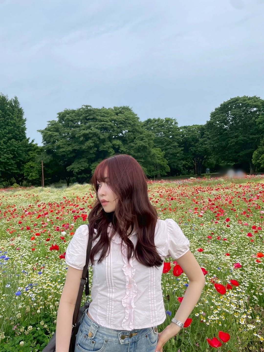 momona archive on X: 
