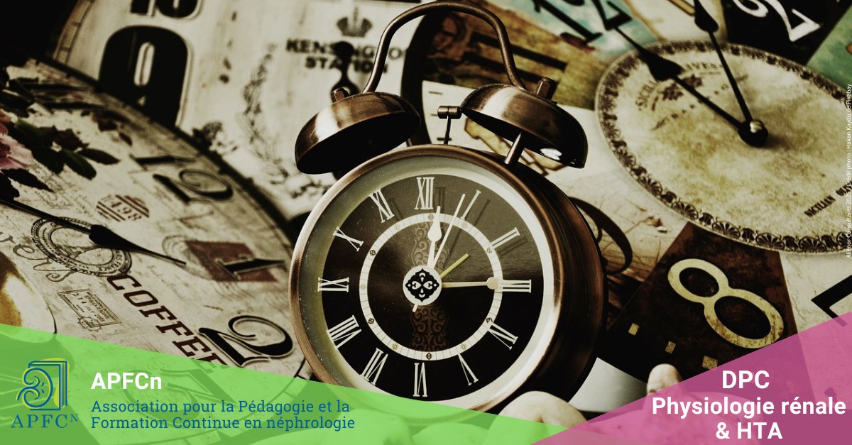 ⏰ J-8 pour vous inscrire au 𝗗𝗣𝗖 𝗣𝗵𝘆𝘀𝗶𝗼𝗹𝗼𝗴𝗶𝗲 𝗿𝗲́𝗻𝗮𝗹𝗲 &amp; 𝗛𝗧𝗔  
🗓️ 19 &amp; 20/06, les après-midis, en classe virtuelle Inscription jusqu'au 18/06 
Programmes et inscription ➡️ apfcn.fr

#nephrology #sante #medecin #formation