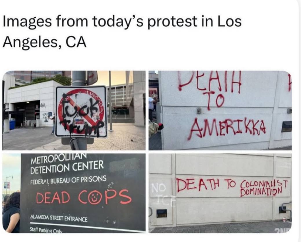 true_dispatch's tweet image. Signs from the Los Angeles protest