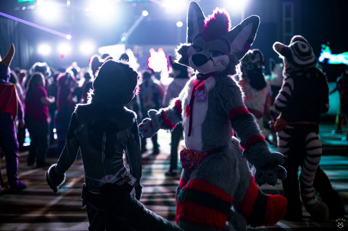 MoreFurLess's tweet image. My ideal dance partner is a giant dog with red hair 😍 

😚 @LeggyFao 
📸bsky.app/profile/maiao.…